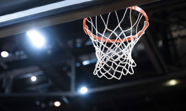 Cost of Basketball Net Installation in Monroe