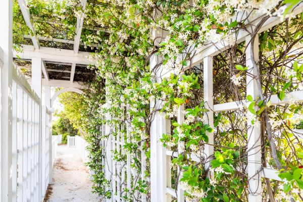 Cost of Trellis Repair in Monroe