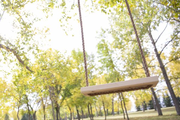 Cost of Tree Swing Installation in Monroe