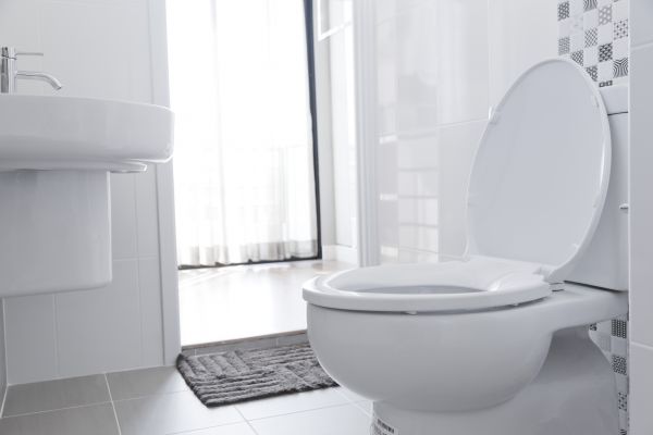 Cost of Toilet Seat Installation in Monroe