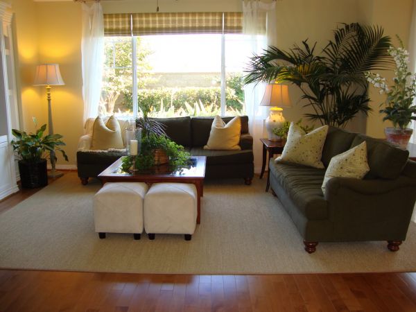Cost of Valance Rod Installation in Monroe
