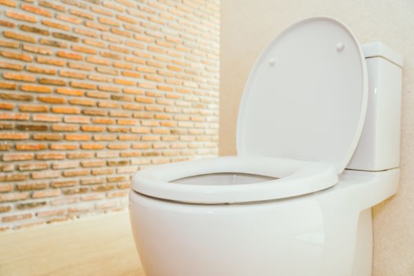 Cost of Toilet Seat Repair in Monroe