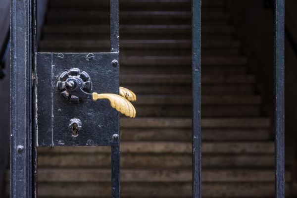 Cost of Gate Handle Replacement in Monroe
